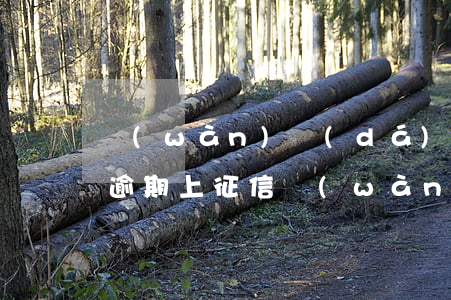 萬(wàn)達(dá)貸沒(méi)有逾期上征信(萬(wàn)達(dá)貸上征信)