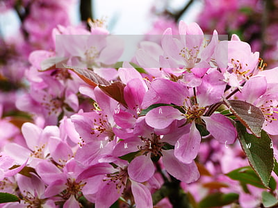 萬(wàn)達(dá)貸逾期仲裁委員會(huì)(萬(wàn)達(dá)貸網(wǎng)絡(luò)仲裁申請(qǐng)執(zhí)行)