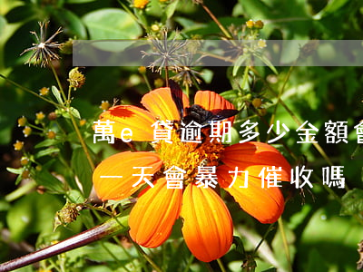 萬e貸逾期多少金額會被起訴-萬e貸逾期一天會暴力催收嗎