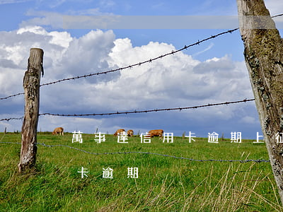 萬事達信用卡逾期上征信嗎(個人征信有信用卡逾期)