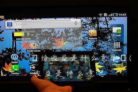 萬份收益是什么意思(當(dāng)日萬份收益是什么意思)