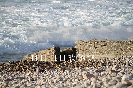 萬傳見貸款逾期