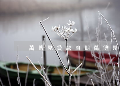 萬傳見貸款逾期（萬傳見貸款逾期）