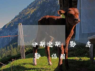 萬分期逾期會影響房貸嗎(房子貸款逾期一天會影響信用嗎)