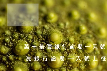 萬卡華夏銀行逾期一天就上征信么-萬卡華夏銀行逾期一天就上征信么