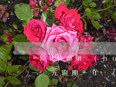 萬卡貸款逾期會(huì)被起訴滿(信用卡一萬元逾期一年會(huì)被起訴嗎?)