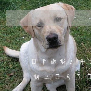 萬卡逾期2年后才起訴 2020玖富萬卡逾期三個月了,會不會被起訴