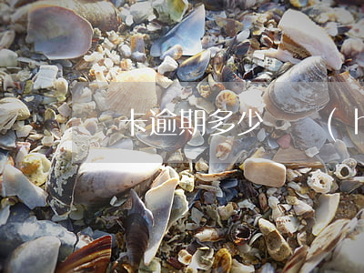 萬卡逾期多少錢會(huì)被起訴