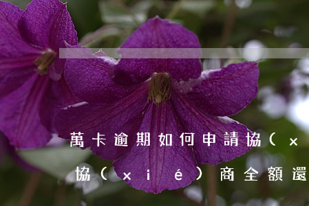 萬卡逾期如何申請協(xié)商還款(萬卡協(xié)商全額還款)