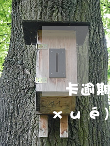 萬卡逾期會(huì)影響小孩上公立學(xué)嗎-萬卡逾期會(huì)怎么樣