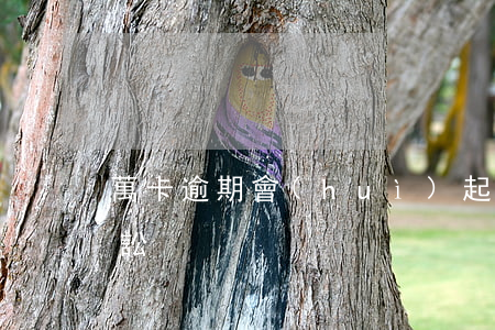 萬卡逾期會(huì)起訴嘛-萬卡提起訴訟