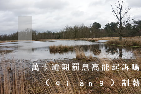 萬卡逾期罰息高能起訴嗎(萬卡逾期30天說強(qiáng)制執(zhí)行是怎么回事)