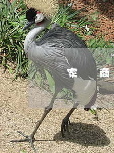 萬家匯商鋪貸款還不起(萬家匯商場)