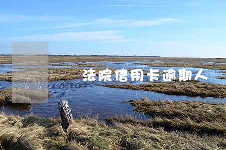 萬寧法院信用卡逾期人員