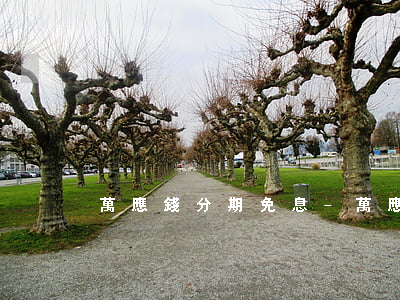 萬應錢分期免息-萬應錢年費