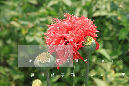 萬柏林有名債務(wù)債權(quán)案律師事務(wù)所-萬柏林區(qū)律師事務(wù)所在哪里?