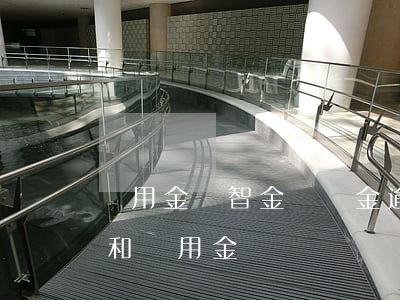 萬用金財智金圓夢金逾期能立案嗎-財智金和萬用金