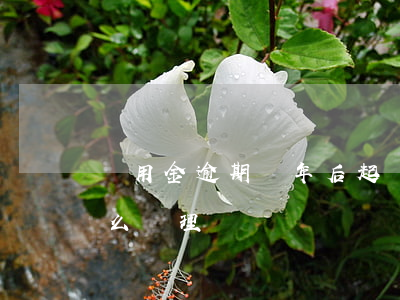 萬用金逾期幾年后起訴無用(萬用金還不上怎么處理)
