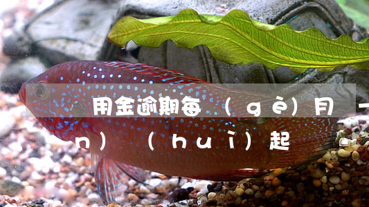 萬用金逾期每個(gè)月還一點(diǎn)會(huì)起訴嗎-萬用金逾期每個(gè)月還一點(diǎn)會(huì)起訴嗎是真的嗎