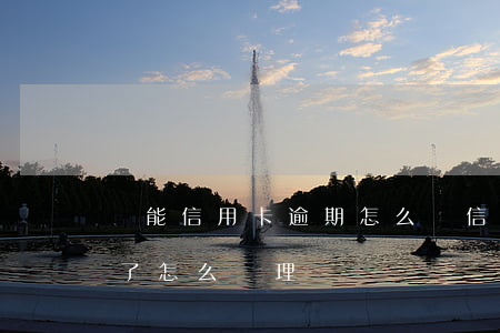 萬能信用卡逾期怎么辦(信用卡逾期卡不能用了怎么處理)