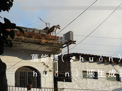 萬能轉(zhuǎn)賬生成器(萬能轉(zhuǎn)賬生成器app)