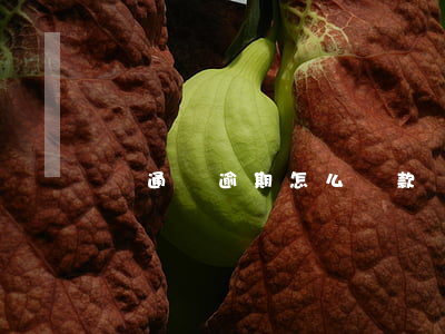 萬通寶逾期怎么還款