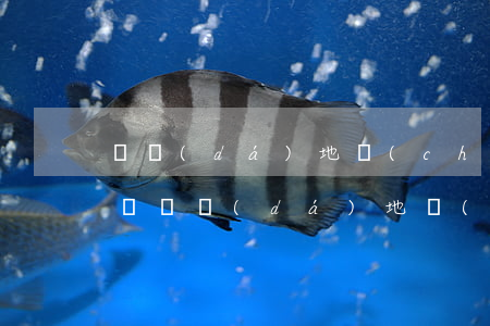 萬達(dá)地產(chǎn)欠銀行多少錢(萬達(dá)地產(chǎn)欠銀行多少錢)