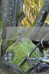 萬達(dá)大王貸逾期怎么樣(萬達(dá)貸逾期一天不讓循環(huán)了,跟催收商量)