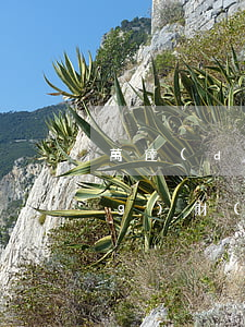 萬達(dá)普惠逾期一年多申請(qǐng)財(cái)產(chǎn)保全-萬達(dá)普惠逾期一年多申請(qǐng)財(cái)產(chǎn)保全有影響嗎