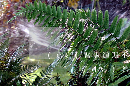 萬達(dá)普惠逾期不還會(huì)被起訴嗎 萬達(dá)普惠逾期不還會(huì)被起訴嗎