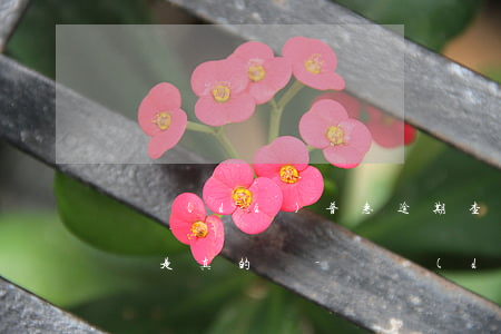 萬達(dá)普惠逾期查消費(fèi)記錄是真的嗎-萬達(dá)普惠逾期查消費(fèi)記錄是真的嗎嗎