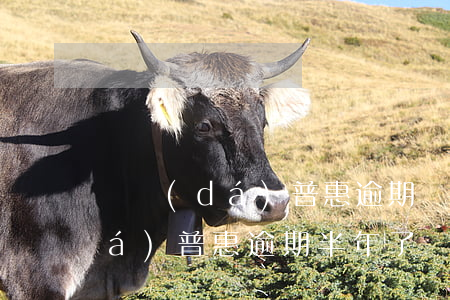 萬達(dá)普惠逾期還能貸款嗎(萬達(dá)普惠逾期半年了會起訴借款人嗎?)
