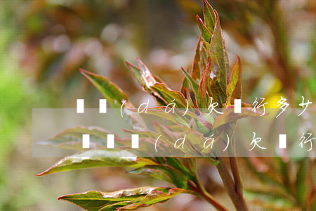 萬達(dá)欠銀行多少錢會(huì)起訴（萬達(dá)欠銀行多少）
