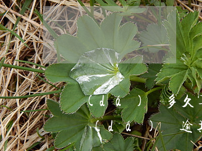 萬達(dá)貸多久算嚴(yán)重逾期(萬達(dá)貸逾期打公司)