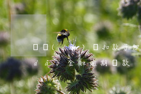 萬達(dá)貸扣款了但是顯示逾期(萬達(dá)金融逾期貸款)