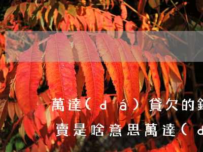萬達(dá)貸欠的錢已轉(zhuǎn)賣是啥意思(萬達(dá)貸被轉(zhuǎn)賣,但已結(jié)清)