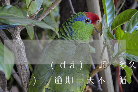 萬達(dá)貸超過多久算逾期(萬達(dá)貸逾期一天不讓循環(huán)了,跟催收商量)