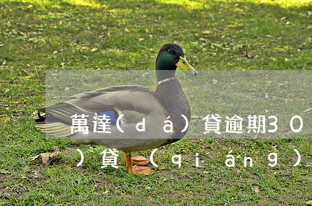 萬達(dá)貸逾期3000元(萬達(dá)貸強(qiáng)制30天)