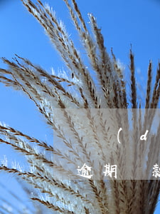 萬達(dá)貸逾期上門 萬達(dá)金融逾期貸款
