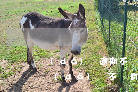 萬達(dá)貸逾期不還會(huì)怎樣(萬達(dá)貸不還有什么后果2020)
