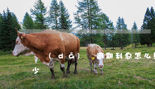 萬達(dá)貸逾期利息怎么算(逾期利息多少)