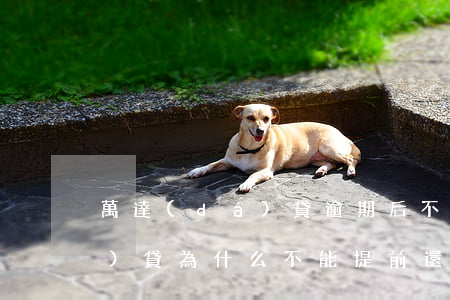 萬達(dá)貸逾期后不提額度(萬達(dá)貸為什么不能提前還)