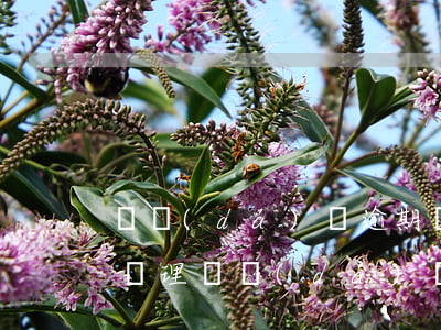 萬達(dá)貸逾期啟動(dòng)程序處理(萬達(dá)貸申請(qǐng)強(qiáng)制執(zhí)行)