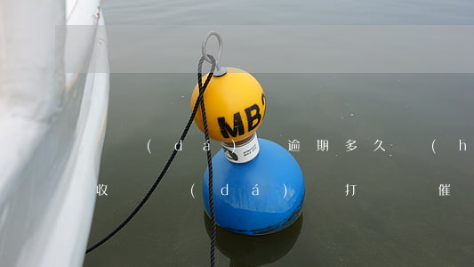 萬達(dá)貸逾期多久會(huì)有催收(萬達(dá)貸打電話催還款)