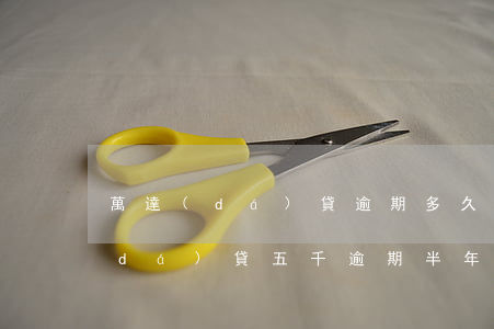 萬達(dá)貸逾期多久會被起訴(欠萬達(dá)貸五千逾期半年會被法院起訴嗎)