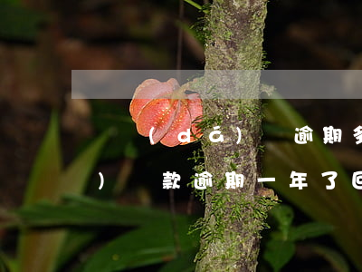 萬達(dá)貸逾期多久還能借(萬達(dá)貸款逾期一年了回去家里催收嗎?)