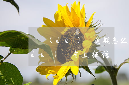 萬達(dá)貸逾期怎么辦上征信嗎(萬達(dá)貸有上征信嗎)