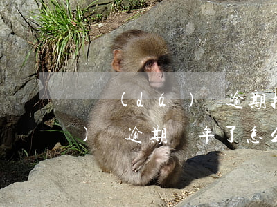 萬達(dá)貸逾期把我的停了(萬達(dá)貸逾期兩年了,怎么還找到公司了)