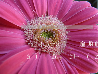 萬達(dá)貸逾期收到法院傳票(萬達(dá)貸起訴到執(zhí)行)