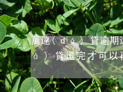 萬達(dá)貸逾期還了還能借嗎(萬達(dá)貸還完才可以再借)